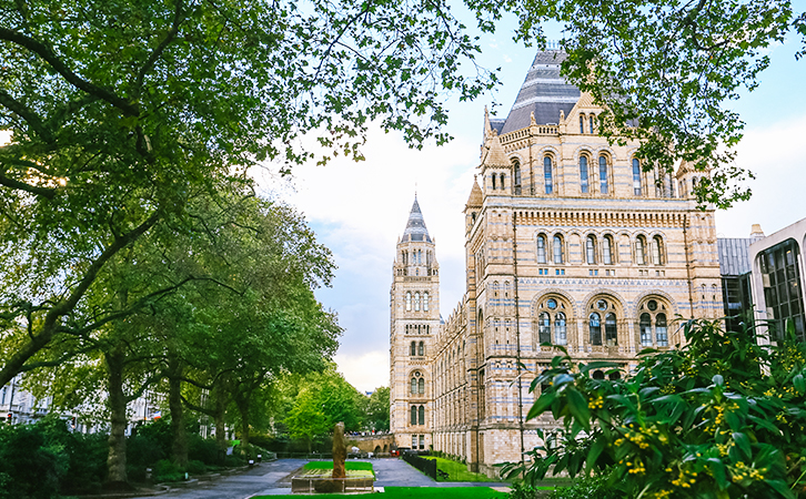英国大学的现场&网络面试技巧